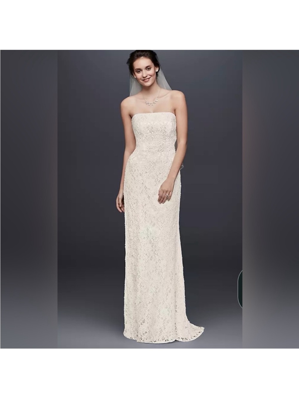 Galina Strapless Lace Column Wedding Dress in Ivory
